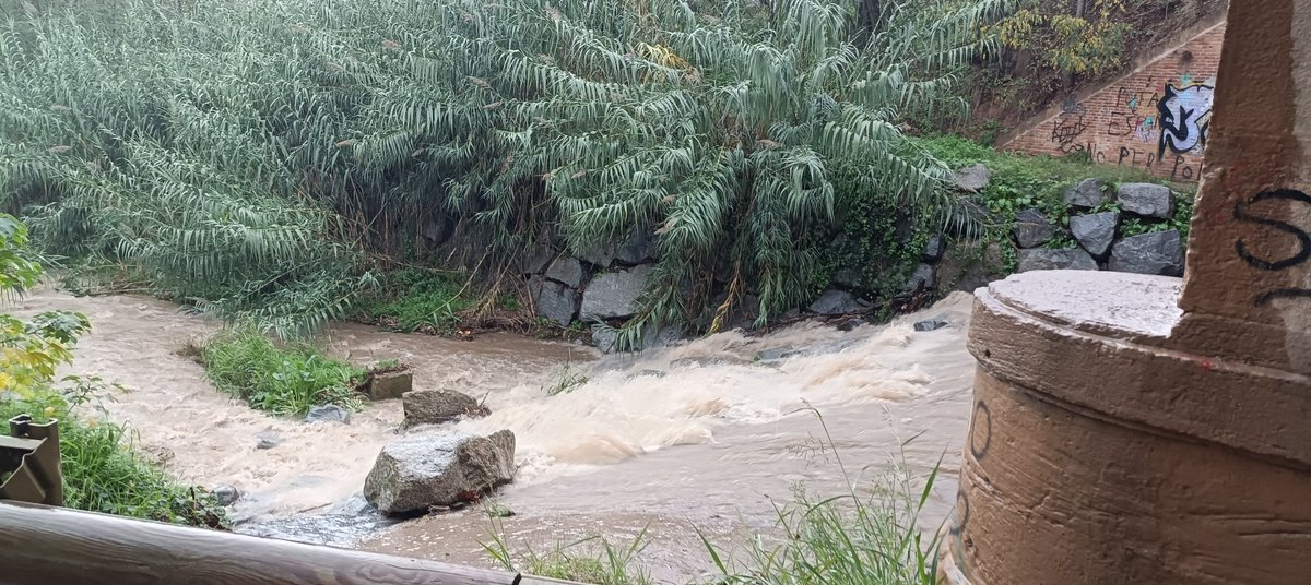 AVPC de Cardedeu tweet media