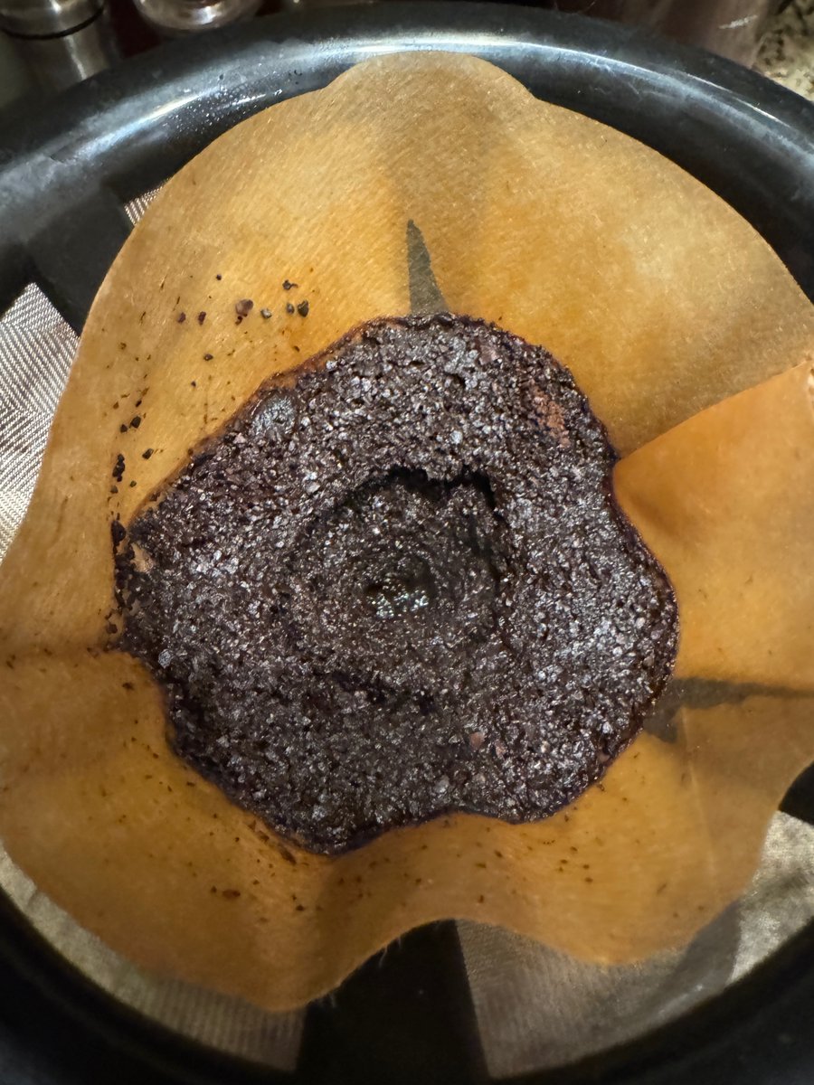 Dr. Jeff Amato tweet media