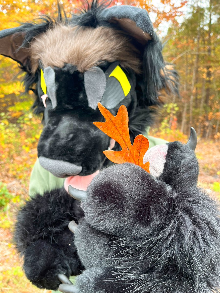 chicoryflowers's tweet photo. Just kidding here’s a leaf 🤲🏽🍁 https://t.co/q7VP7LtOyH