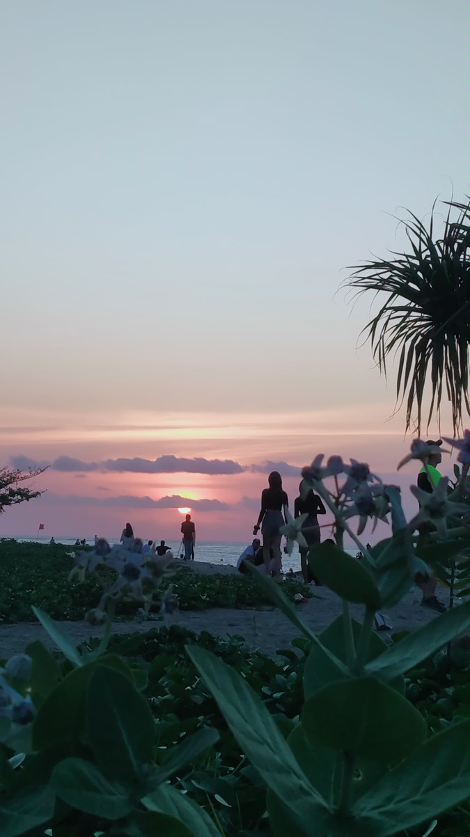 Edamore2's tweet image. Kawan...aku tahu tidak mungkin lagi bercekrama denganmu.
Namun aku rindu bercerita dengan bayangmu...
Aku tahu semua ini hanya semu semata tapi aku tetap ingin senda gurau itu..akan kuceritakan perjalanan ini selama tanpamu... Semu memang kawan.