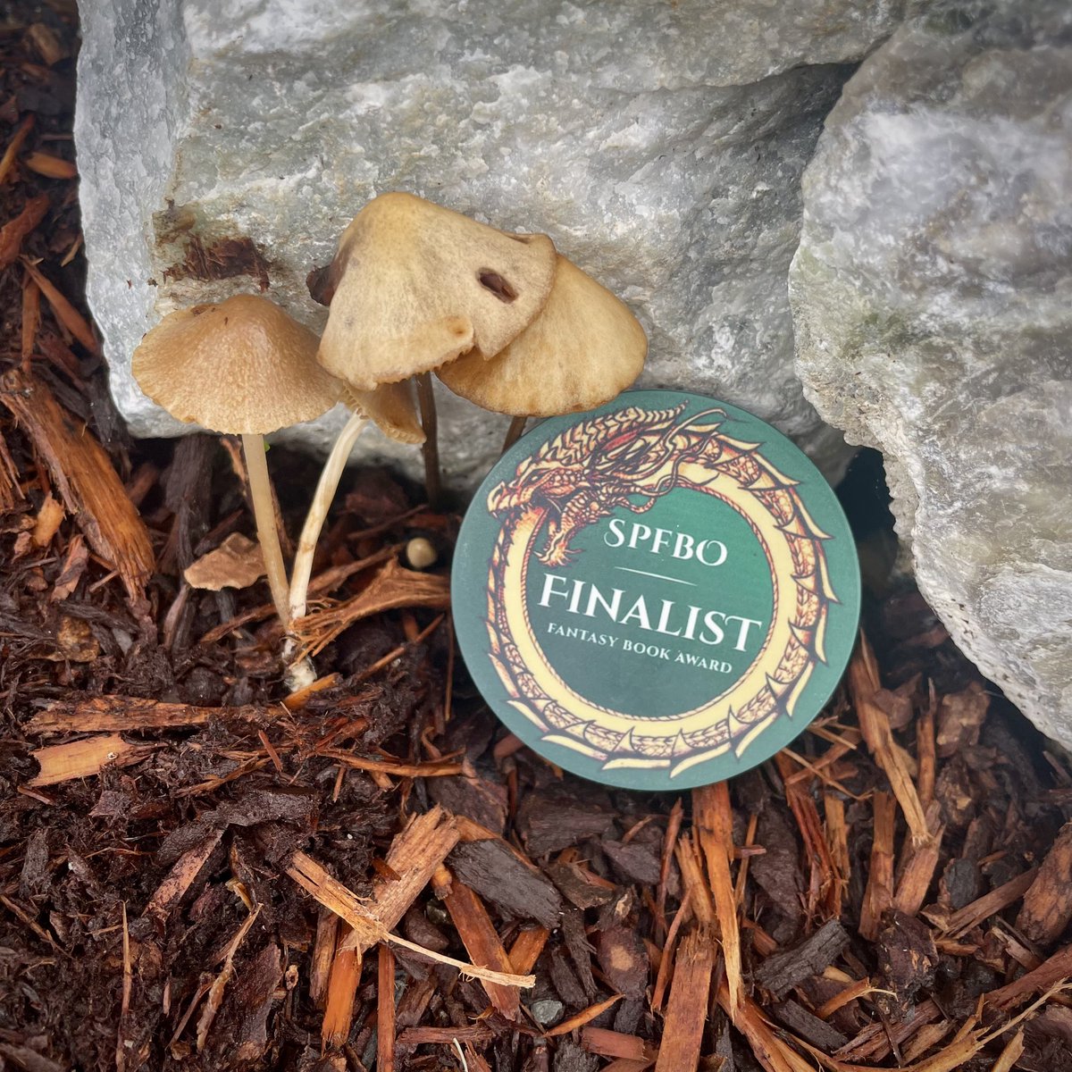 ADRIAN M. GIBSON 🍄💙 SFF Author & Book Designer tweet media