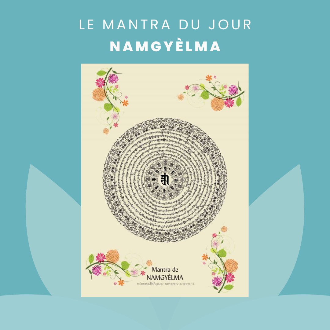 TraductionFPMT's tweet photo. Si ce mantra est placé sur une montagne, la montagne entière est bénie et tous les gens, animaux ou insectes qui touchent ou grimpent sur cette montagne sont purifiés de leur karma négatif et libérés des états d’existence inférieurs. 

https://t.co/zh2cliIYK5

#protection #dharma https://t.co/M0qq9WoDGv