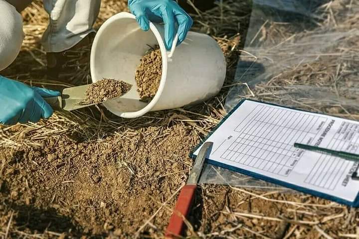 Ukulima Modern || 𝗧𝗵𝗲 𝗙𝗮𝗿𝗺𝗲𝗿𝘀 𝗚𝘂𝗶𝗱𝗲 tweet media