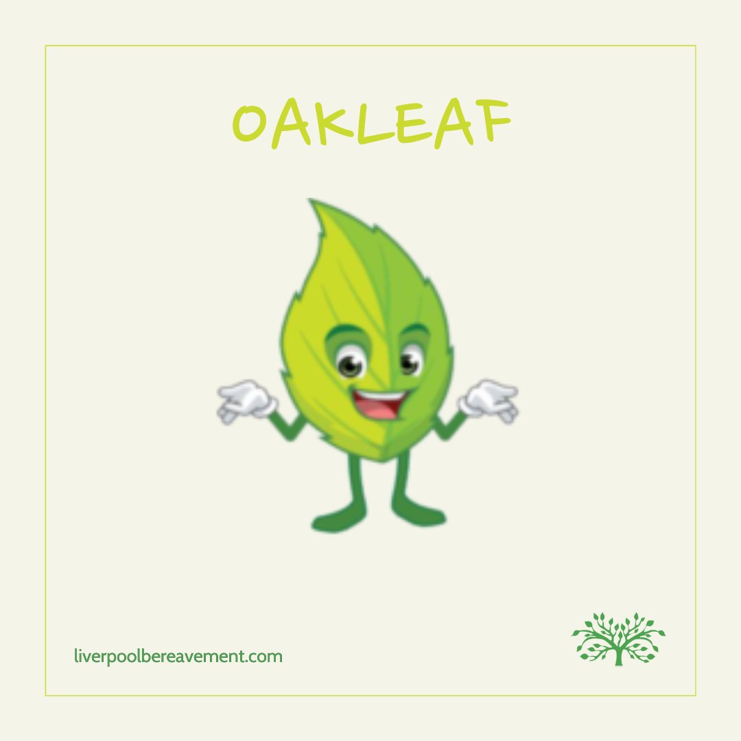 Introducing Oakleaf by Liverpool Bereavement Services – supporting young people through grief with compassionate counselling and tailored resources. Learn more: bit.ly/LBS-Oakleaf 🌱 #OakleafSupport #YouthCounselling #LiverpoolBereavement