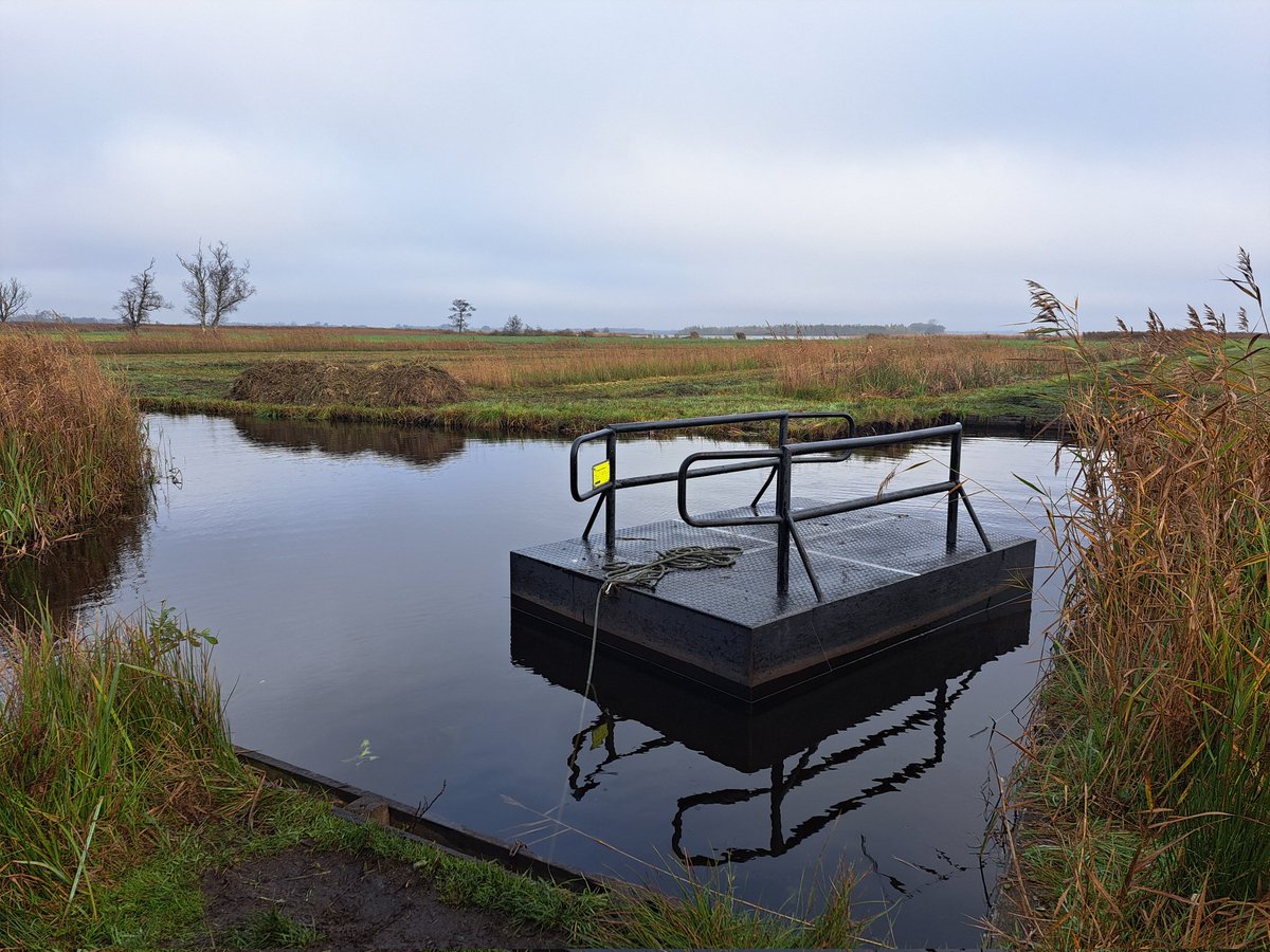 LCSEA's tweet image. Wat een leuke route 💚 in prachtige omgeving #riet #laarzenpad #trekpontjes @BCDeWieden #natuurmonumenten #kidshaddenstudiedag