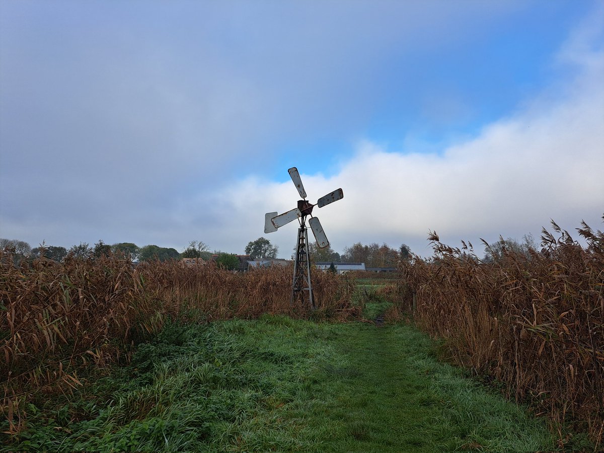 LCSEA's tweet image. Wat een leuke route 💚 in prachtige omgeving #riet #laarzenpad #trekpontjes @BCDeWieden #natuurmonumenten #kidshaddenstudiedag