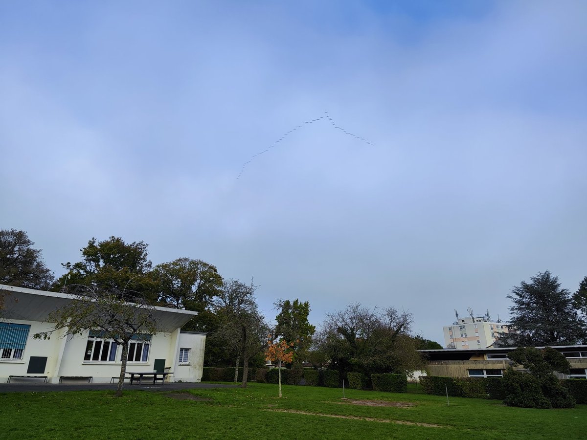 CE2CM1 Arago Chtx tweet media