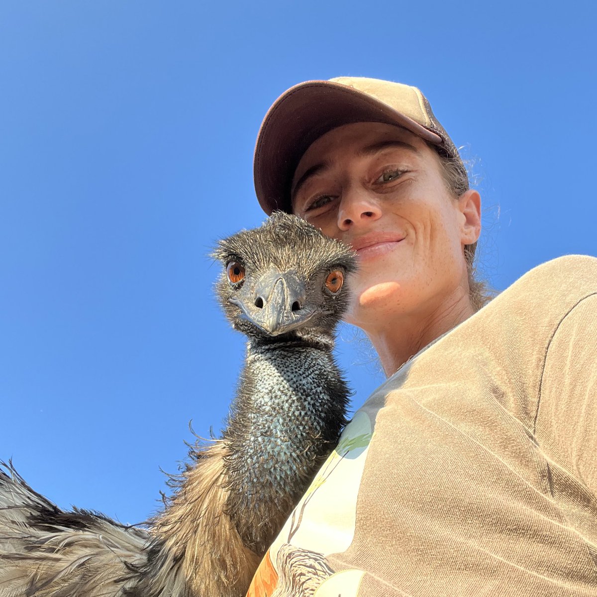 knucklefarms's tweet photo. Heartbeat of our farm🥰💙 https://t.co/lEFHQfqnnP