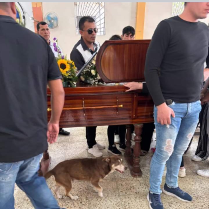 #Portoviejo Fue a despedir a su amo y se extravió, la familia del difunto pide ayudar a localizarlo.