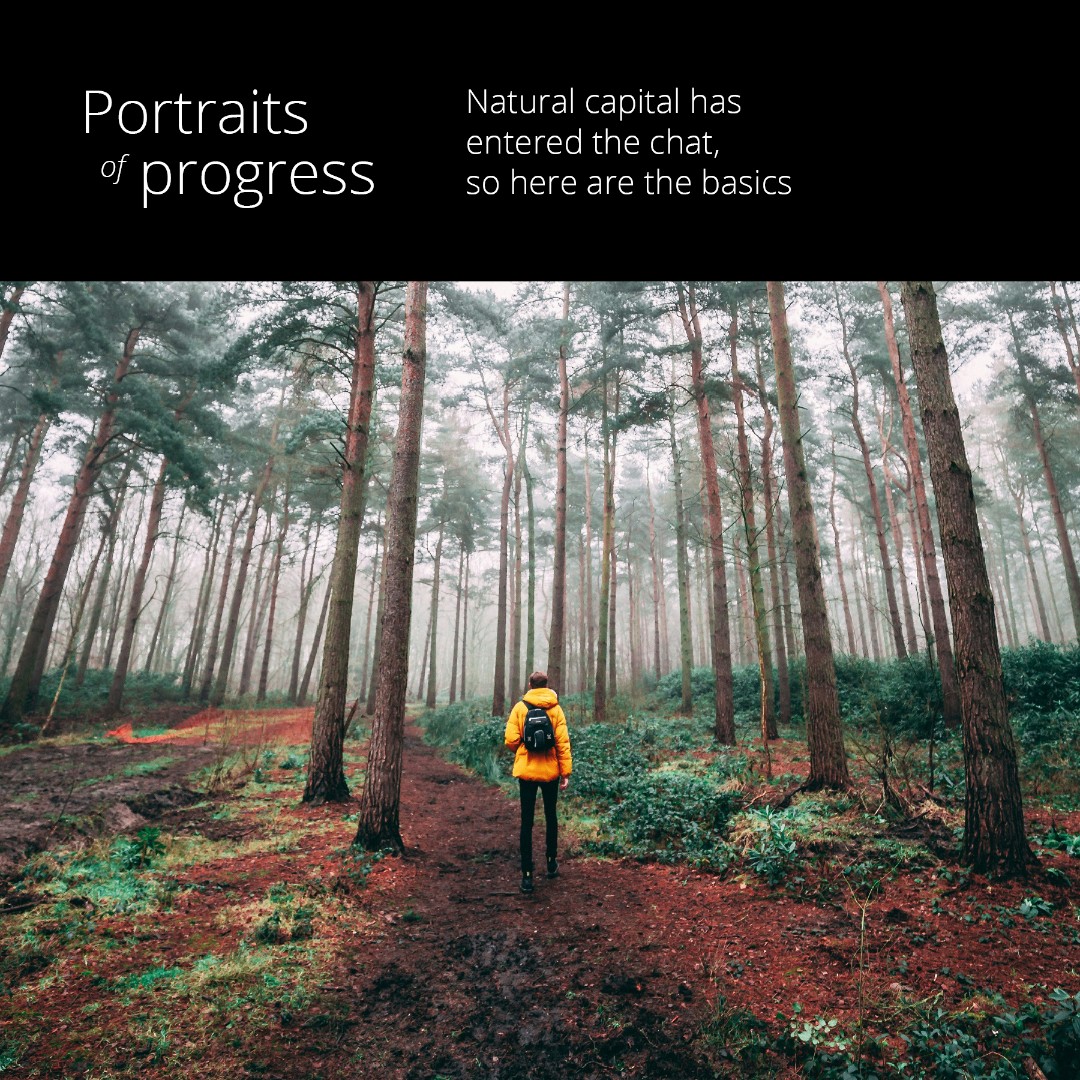 The future of wealth isn’t just in markets--it’s in our forests, oceans &amp; skies! Over 55% of global GDP relies on nature, valued at $58 trillion. Let’s integrate nature’s value into every project, balancing growth with environmental stewardship: ow.ly/k33550TZkOl