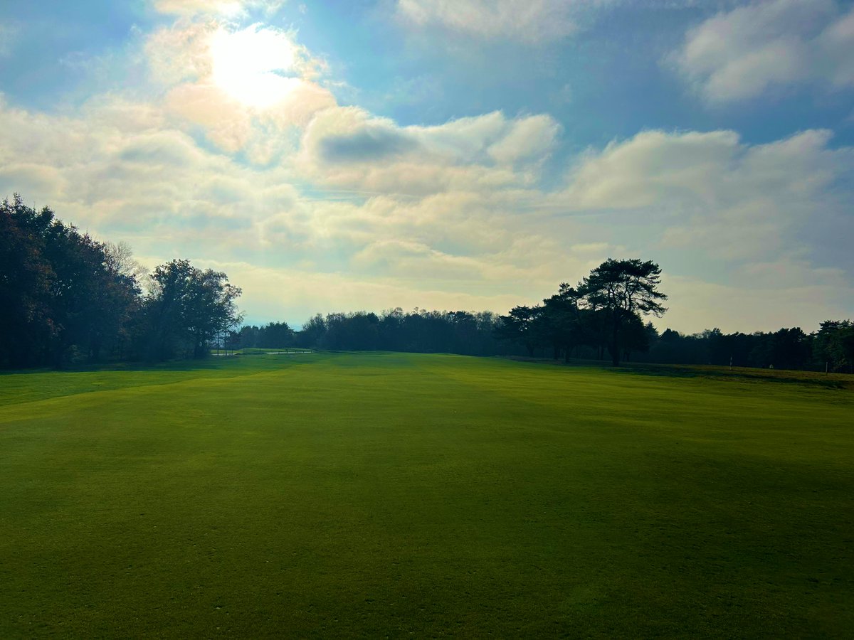 CBGCGREENS tweet media