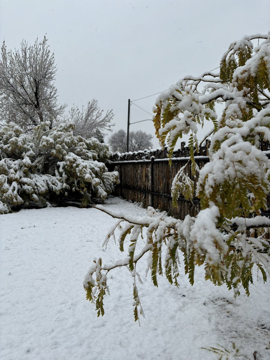 Dan Boyd tweet media