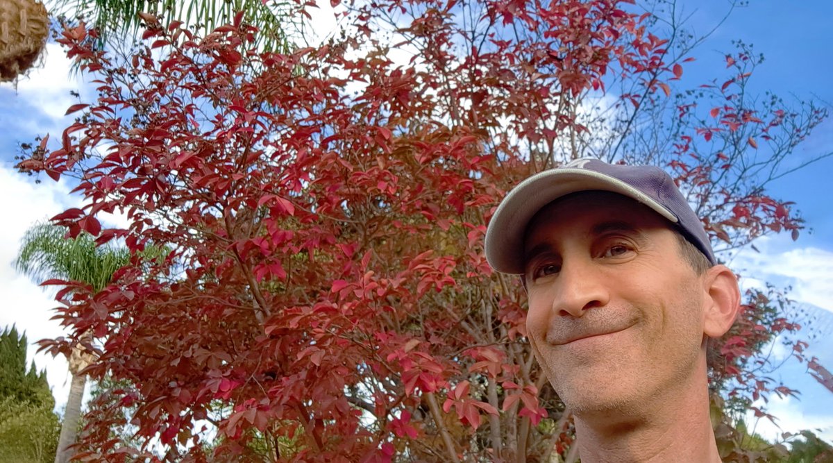 A favorite November pic. #november #fall #autumn #autumnvibes #autumn #autumnleaves #autumncolors #me #itsme #grin #smile #season #holidayseason #winteriscoming #lettinggo #turning #color #change #reflection #tempusfugit #fyp #fypシ #foryou #foryourpage #hello #Vote