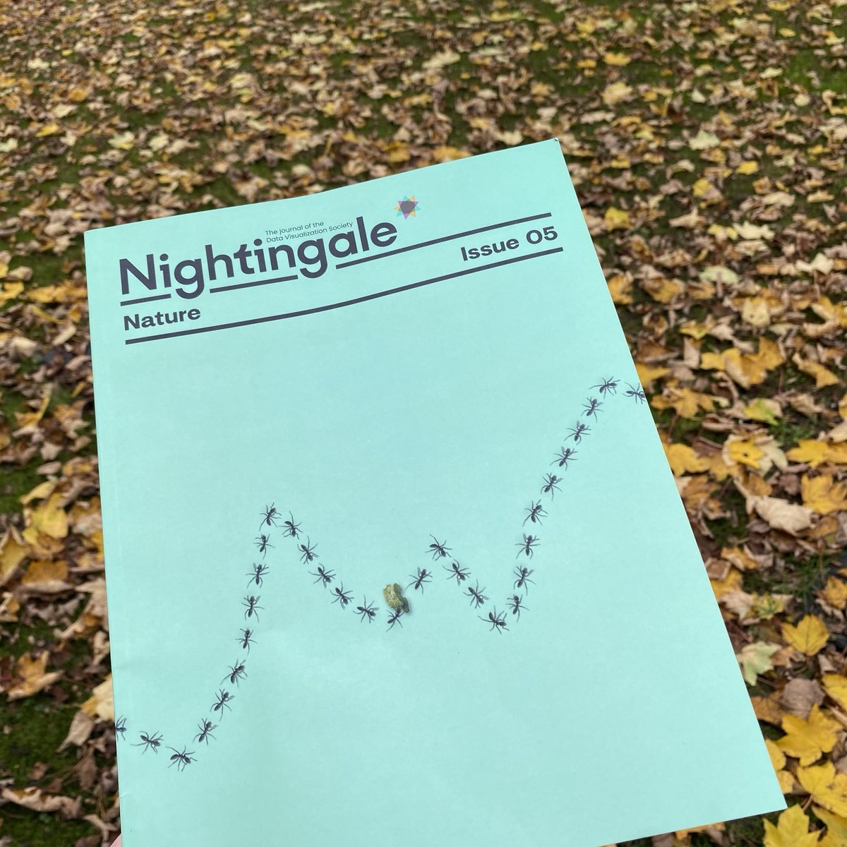one5twoViz's tweet photo. leaf drop and #Nightingale drop on the same day ⁦@DataVizSociety⁩ #nature #dataviz 🍁🍁🍂🍁🕷️🕸️🐜🐞 https://t.co/ztcHu8plB2