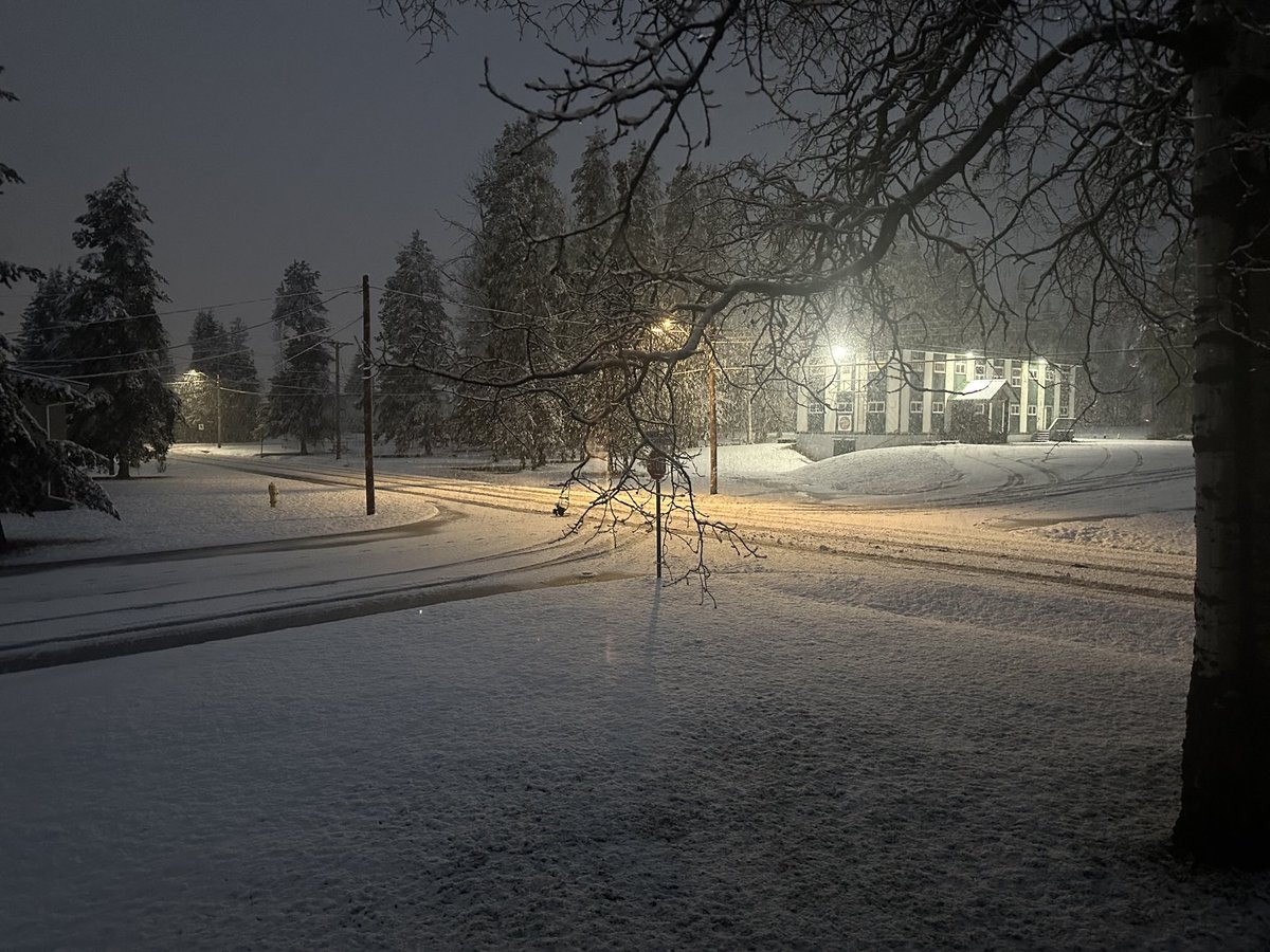 Nathan Cullen tweet media