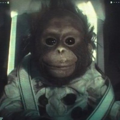 Iceberghub's tweet photo. do u see what i see?
special feeling with this monkey.
i think @elonmusk will let this #beppo to fly with @SpaceX
ca
389AdJ8Guq2RYayjPDn5VrguMXBBQ19Xyzcsku4npump https://t.co/D7oIsV1Cdk