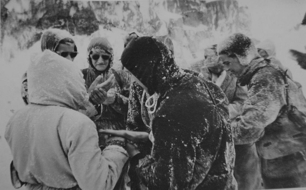 Journal of Warfare tweet media