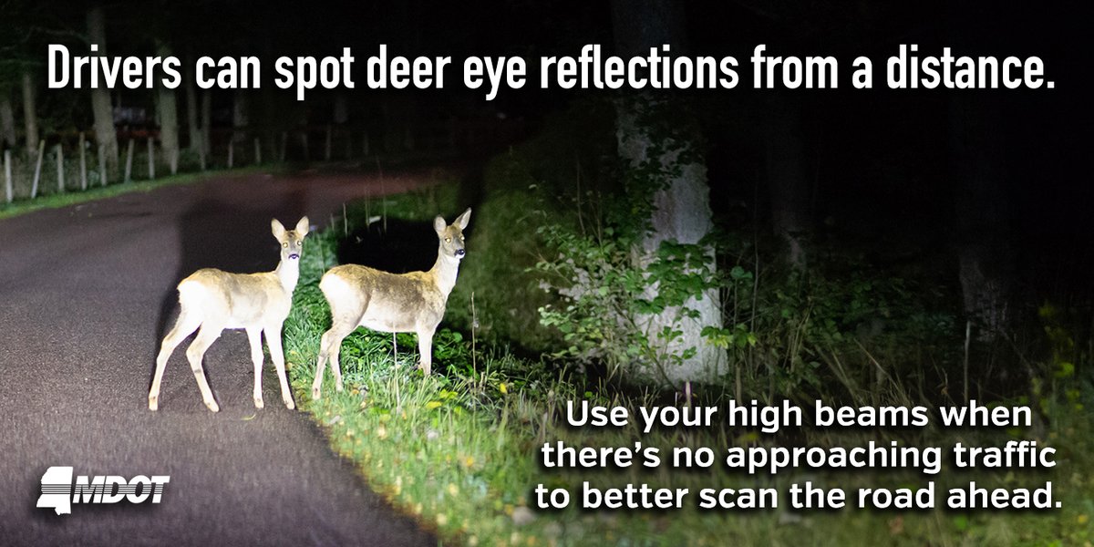 So now that there will be more darkness on our daily commutes, it may be a little more difficult to spot deer by the road. 🦌🌙

The hack for that is to use your high beams when there's no approaching traffic to see deer—their eyes glow when the light hits them. Be vigilant, MS!