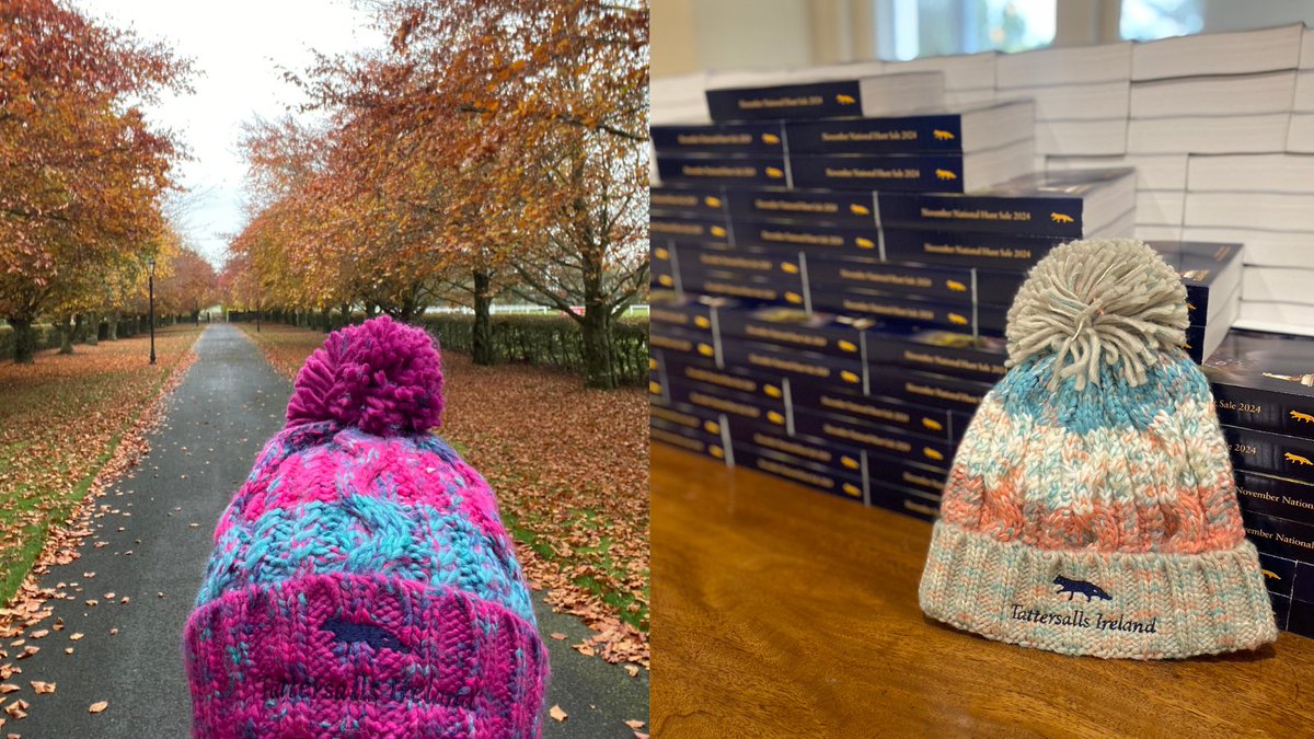 Tattersalls Ireland tweet media