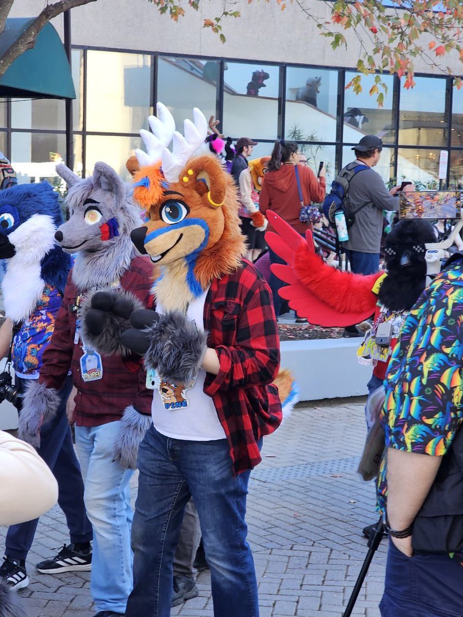 Pine! 🌲 🔜 FWA, AC tweet media