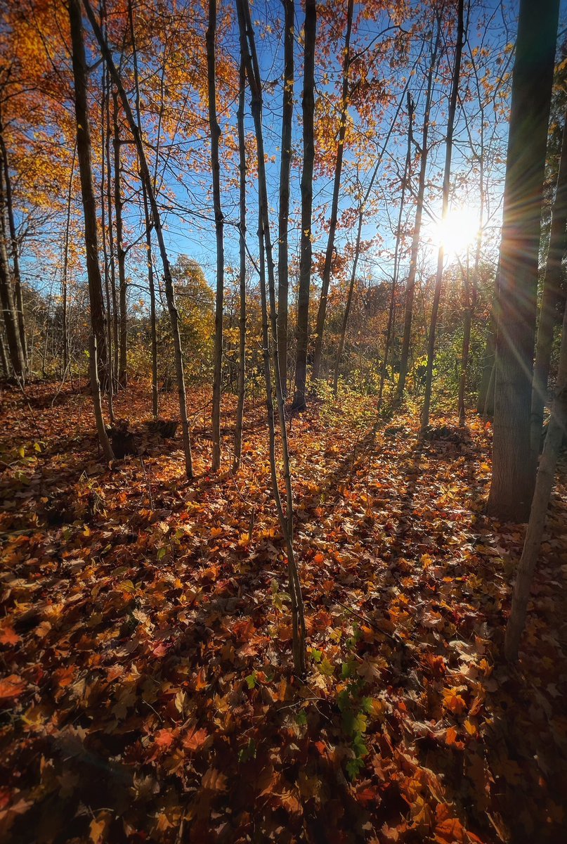 Live with your future self in mind 🍂