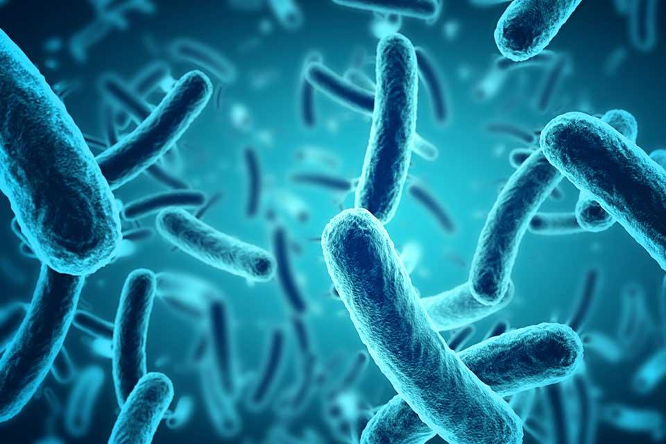 Department of Physics at University of Oxford (@oxfordphysics) on Twitter photo A project led by Prof <a href="/AchillesKap/">Achillefs Kapanidis</a> is one of six to receive funding from the <a href="/IneosOxford/">Ineos Oxford Institute for Antimicrobial Research</a> Institute, sharing £2m to tackle antimicrobial resistance (AMR) through collaborative research at <a href="/UniofOxford/">University of Oxford</a> #AMR #ResearchFunding Read more: physics.ox.ac.uk/news/physics-a… A project led by Prof <a href="/AchillesKap/">Achillefs Kapanidis</a> is one of six to receive funding from the <a href="/IneosOxford/">Ineos Oxford Institute for Antimicrobial Research</a> Institute, sharing £2m to tackle antimicrobial resistance (AMR) through collaborative research at <a href="/UniofOxford/">University of Oxford</a> #AMR #ResearchFunding Read more: physics.ox.ac.uk/news/physics-a…