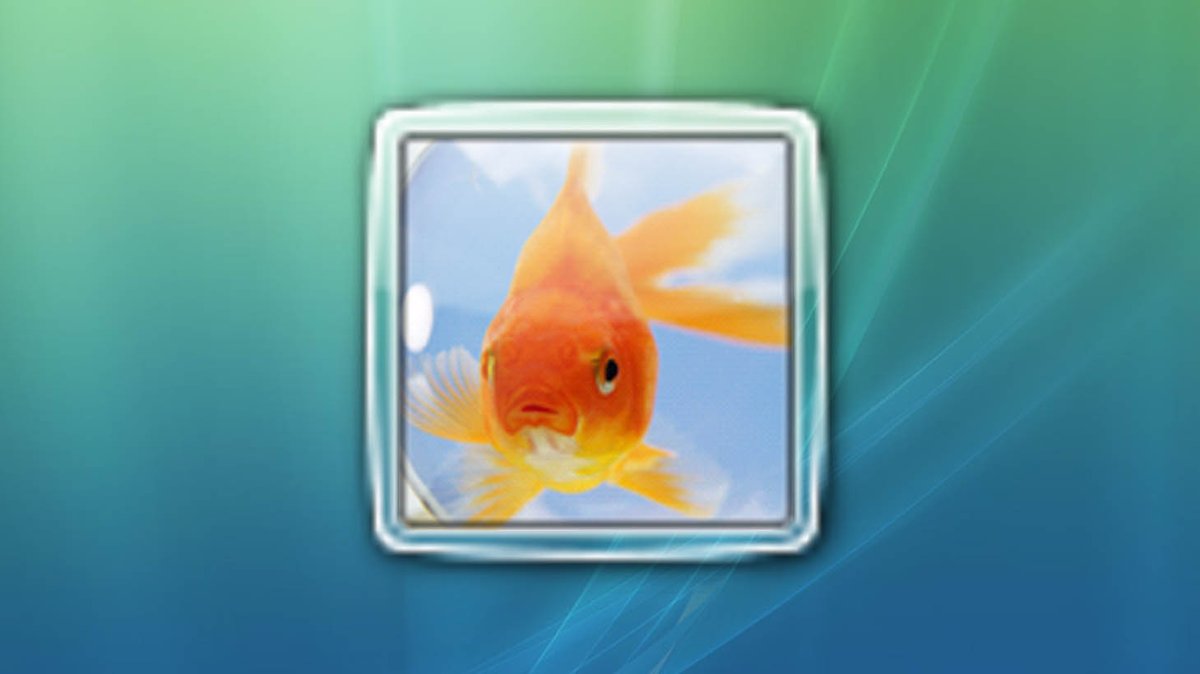 Windows tweet media
