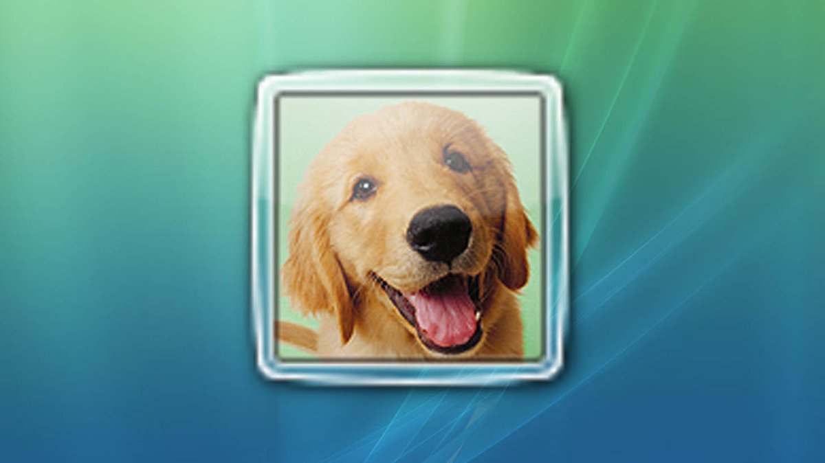 Windows tweet media