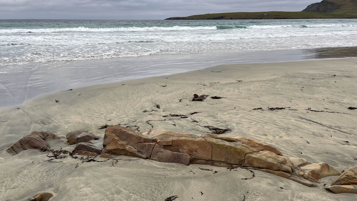 Ross Mackenzie tweet media