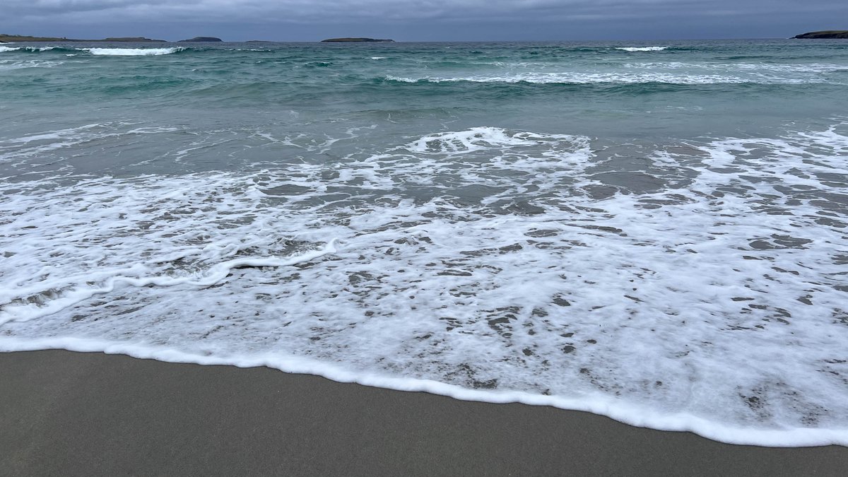 Ross Mackenzie tweet media