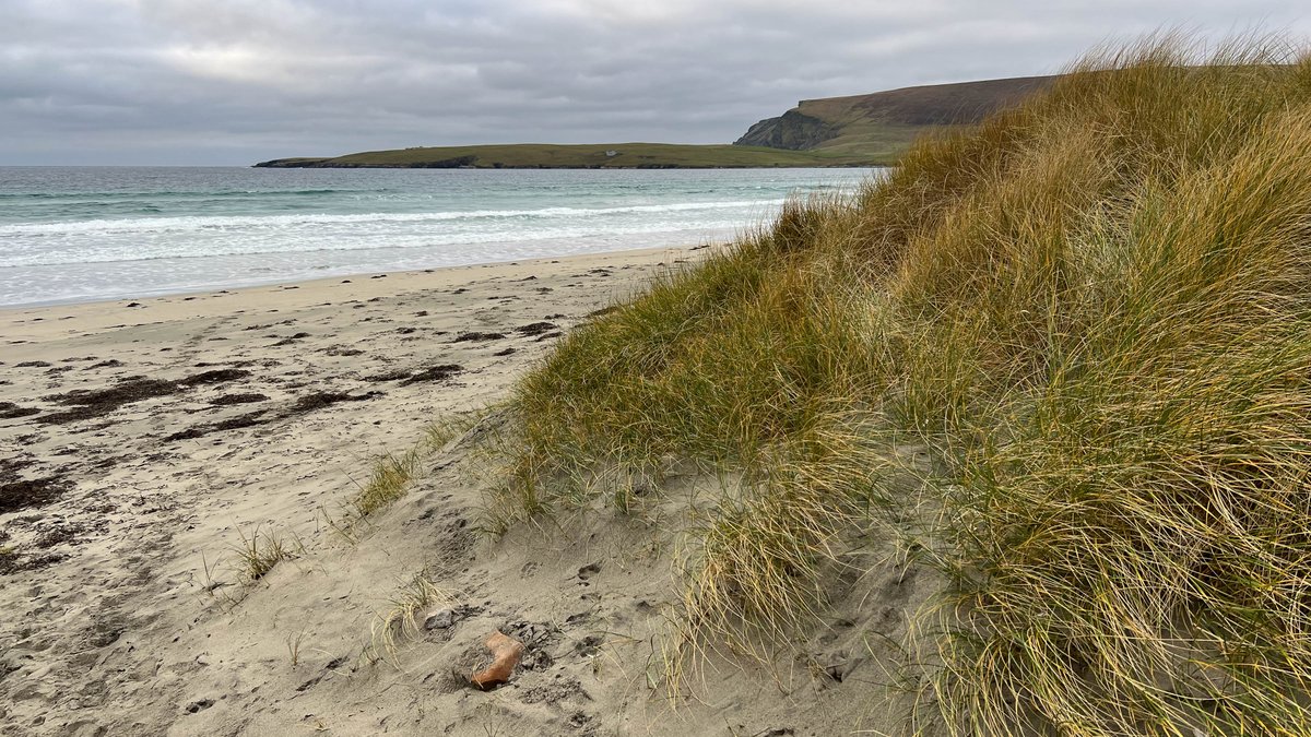 Ross Mackenzie tweet media