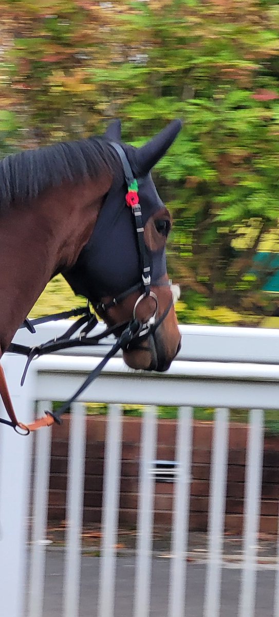 Fergus Cameron tweet media