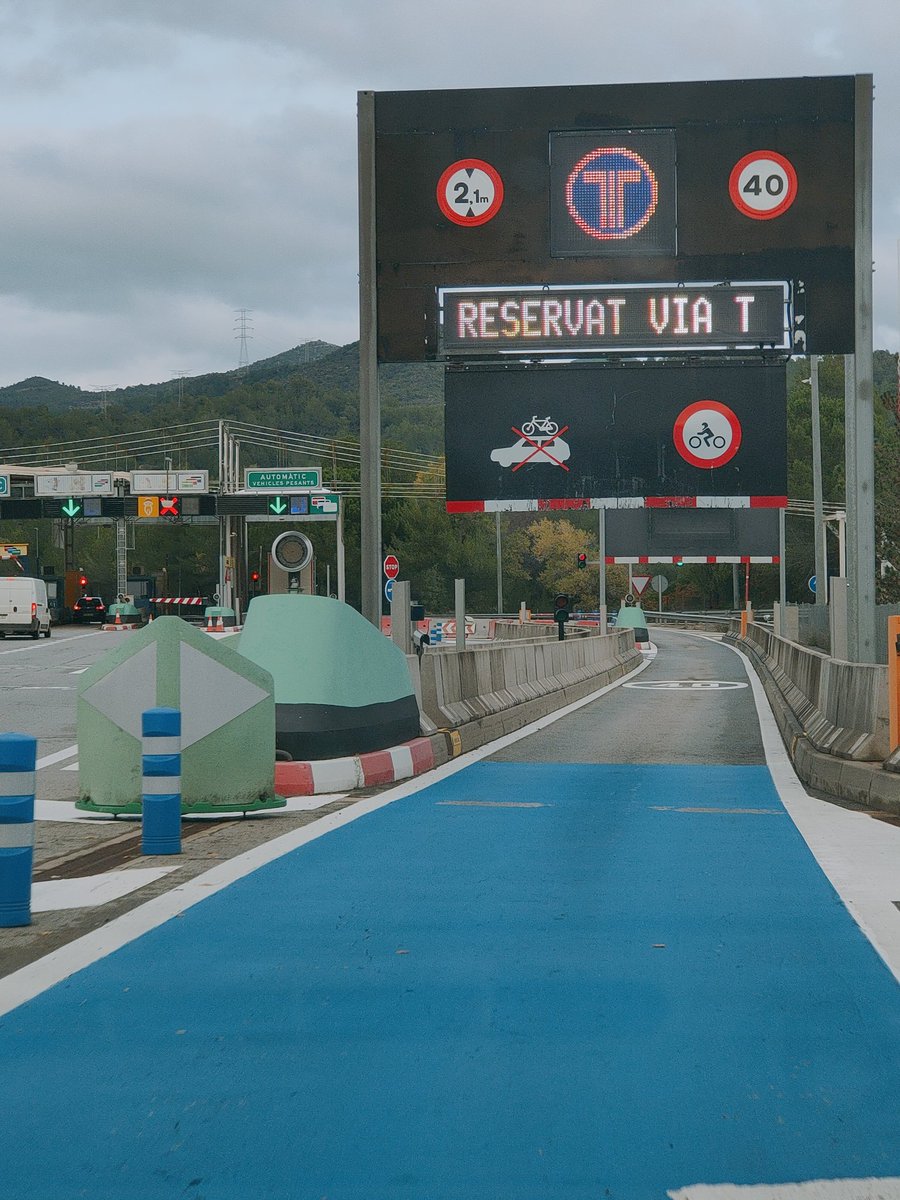 ⭐SFC🎗️🎗️🎗️ tweet media