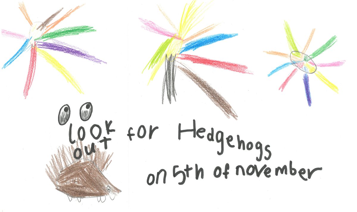 HatherallMrs's tweet photo. Some of @5tAndrews eco-council have made posters reminding us to Stop! Move! Check! if we're having a bonfire tomorrow. Bonfire piles look like somewhere warm &amp; cosy to a hedgehog so check them carefully for wildlife before lighting. #RememberHedgehogs #SAPSEco @HedgehogSociety🦔 https://t.co/0SOidTcmtt