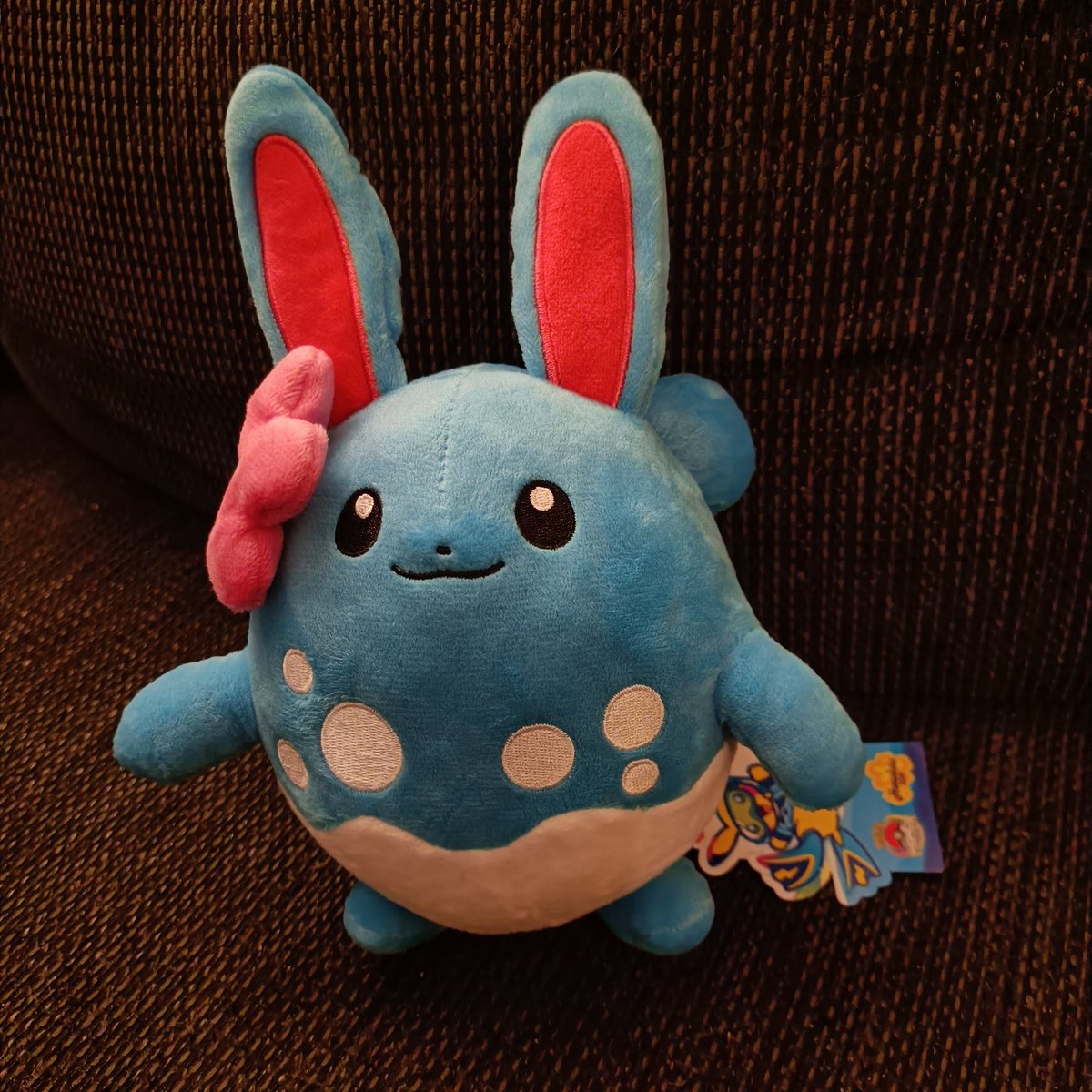 Chiko_Charm's tweet image. Had an amazing trip to Frankfurt together with @Triggerie for the Willkuer concert!😊 Also got the exclusive Azumarill plushie he brought me from his trip to Hawaii!✨