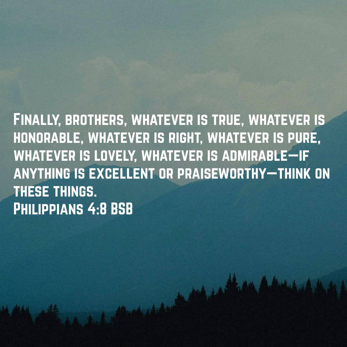 MochaChowder's tweet image. 