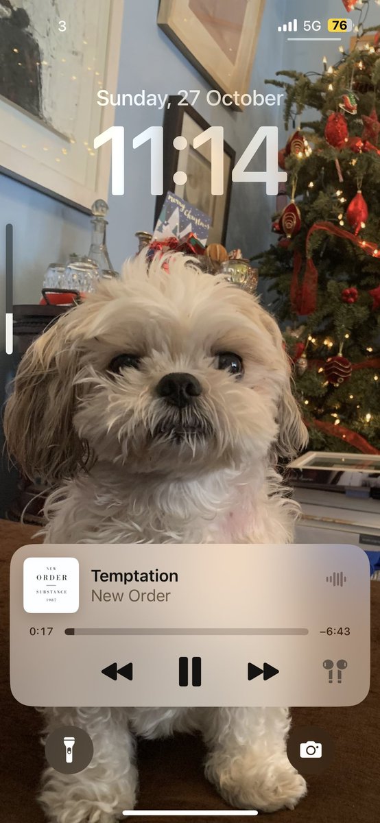 Hugh Gillanders - Aodh Mac Giolla Andreis tweet media