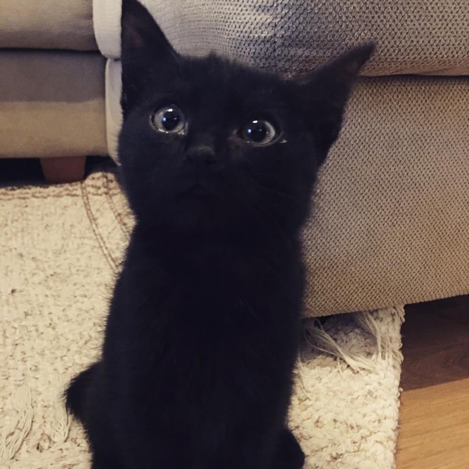 visualscat's tweet photo. https://t.co/xZtBcQ5j9x