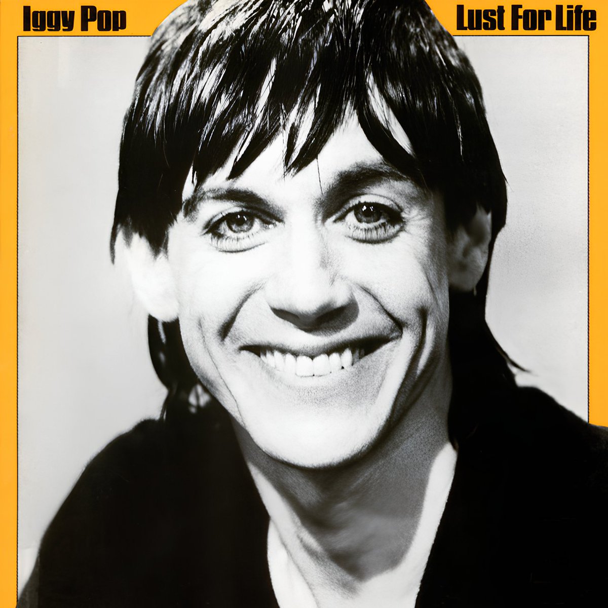 ETARDISDemais's tweet image. Minha artwork paródia da capa do Lust For Life na versão Doctor Who, álbum do icônico vocalista Iggy Pop. No centro Patrick Troughton ator que interpretou o 2° Doutor.

#DoctorWho #IggyPop #2ndDoctor