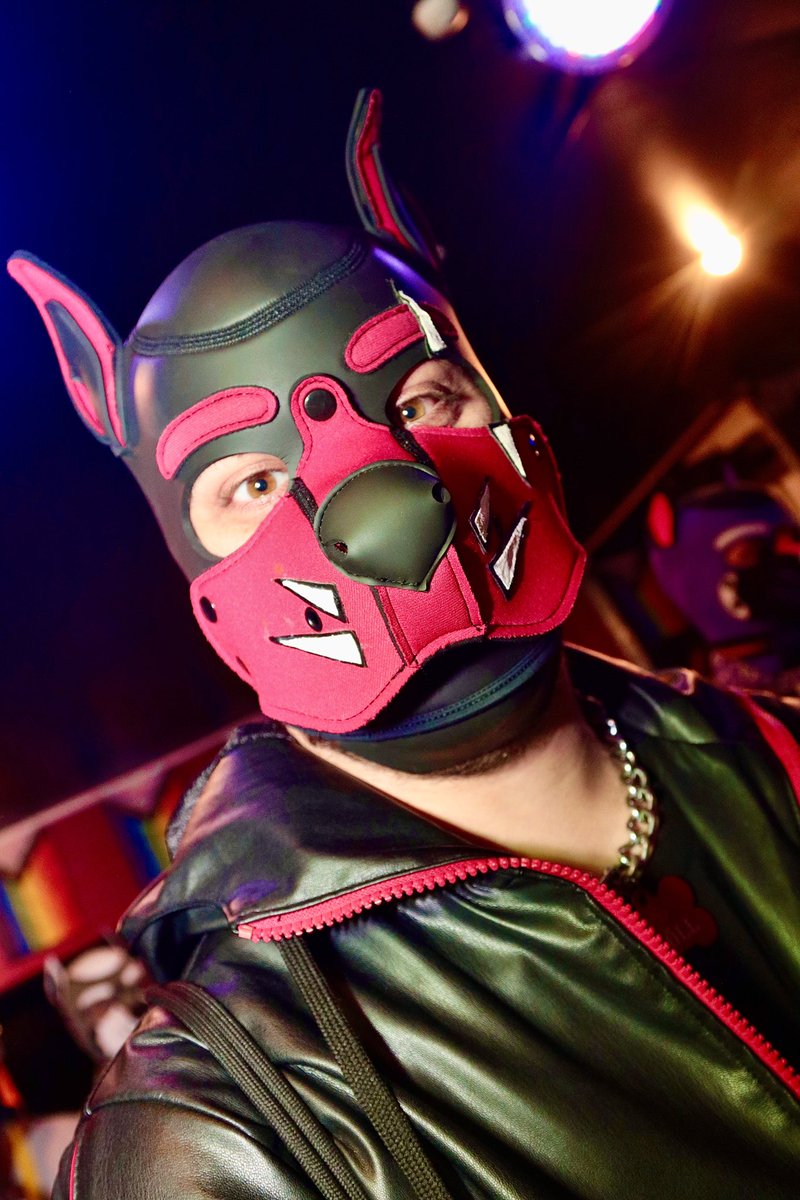 Pup Pyro tweet media