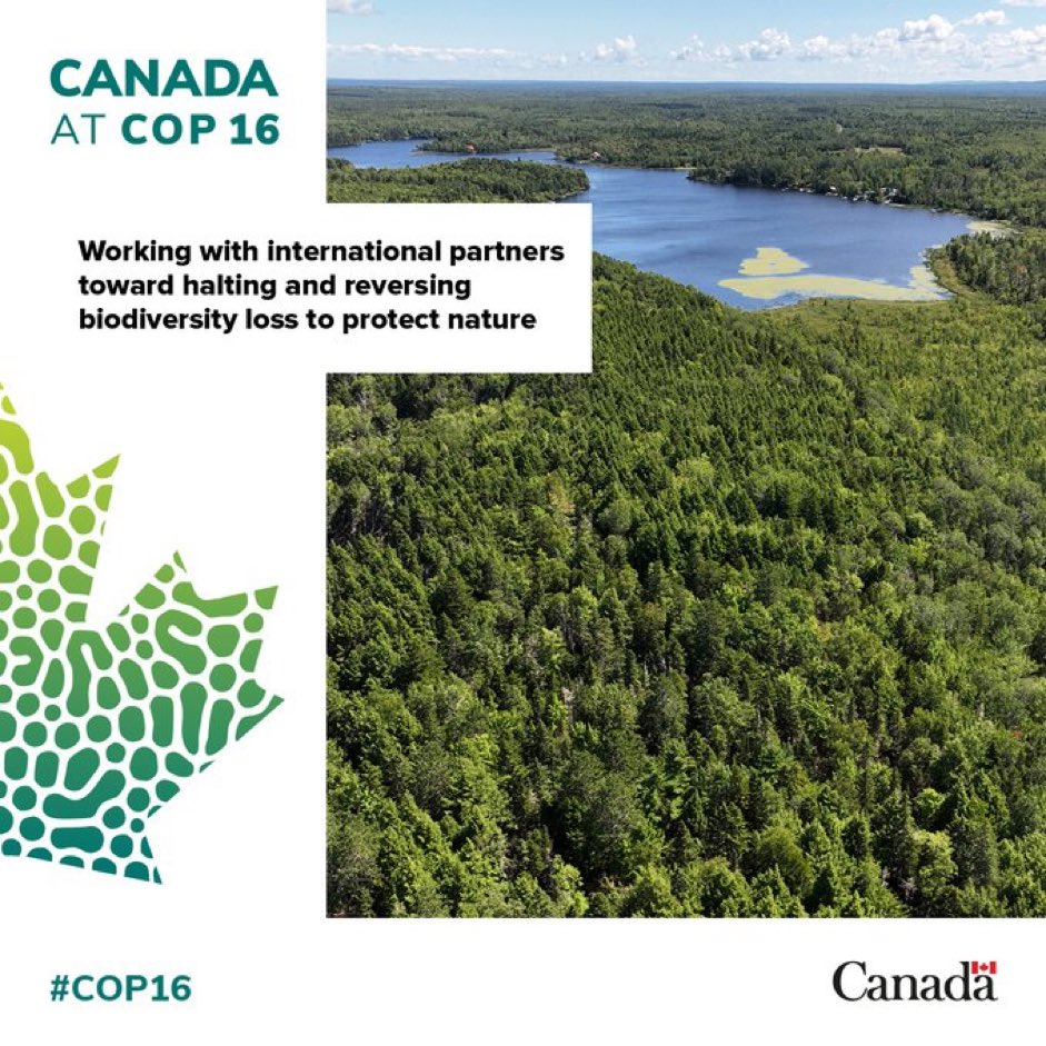 #COP16 was a critical moment for international action to respond to the current biodiversity crisis.
 
We made exceptional strides forward, but there still is much that needs to be addressed. 🌱
 
Read the full News Release:canada.ca/en/environment…