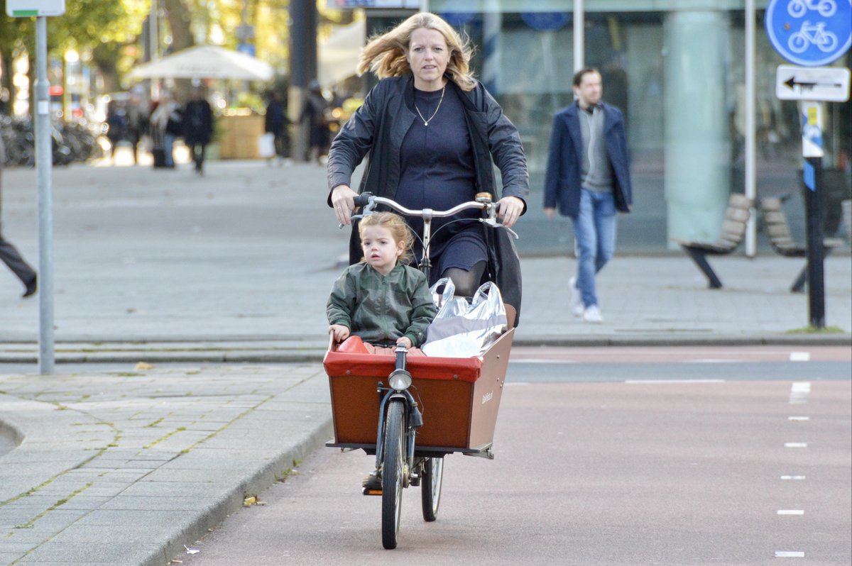 Dutch Cycling Embassy tweet media