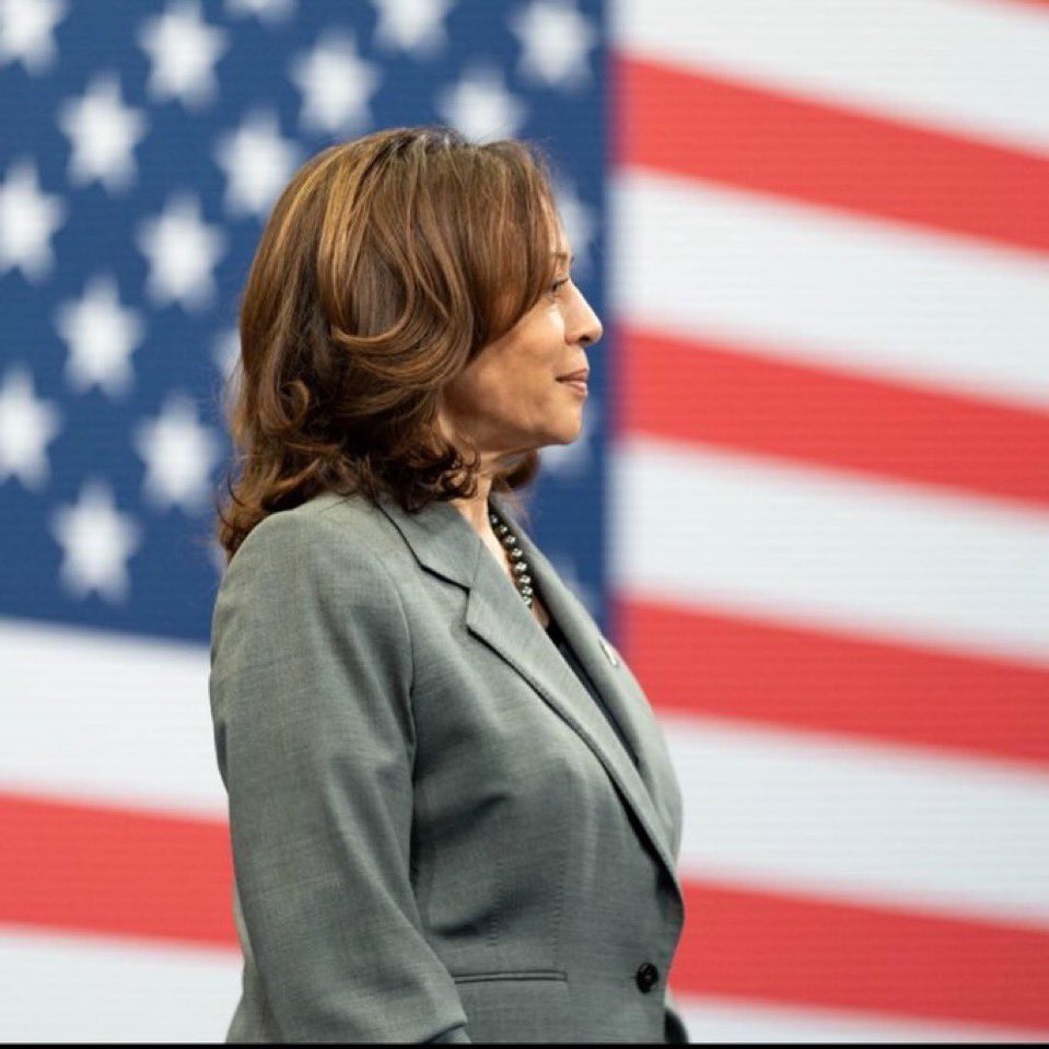 bluhue123's tweet image. Research co: General election poll 

VP Harris leading:

Wisconsin +4
Pennsylvania +1
Michigan +4
Minnesota +8
Virginia +6

Kamala will win 

Drop a 💙 if you agree

When we vote we win