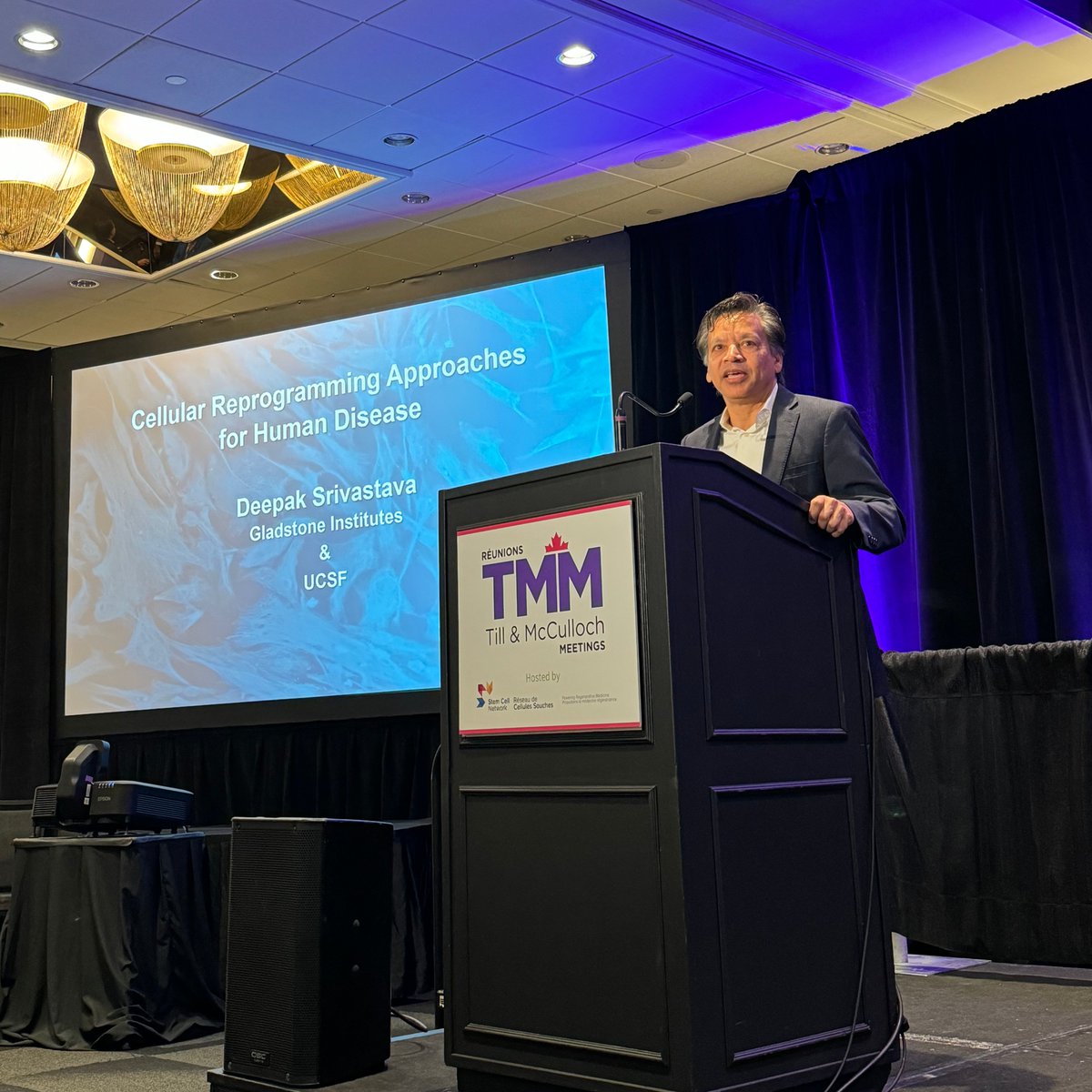 Stem Cell Network (@stemcellnetwork) on Twitter photo What a fantastic opening Keynote Address by Dr.
<a href="/dsrivastava_md/">Deepak Srivastava</a>, President and Senior Investigator at Gladstone Institutes, who shared insights on "Cellular Reprogramming Approaches in Human Disease" at #TMM2024. 🧬 What a fantastic opening Keynote Address by Dr.
<a href="/dsrivastava_md/">Deepak Srivastava</a>, President and Senior Investigator at Gladstone Institutes, who shared insights on "Cellular Reprogramming Approaches in Human Disease" at #TMM2024. 🧬