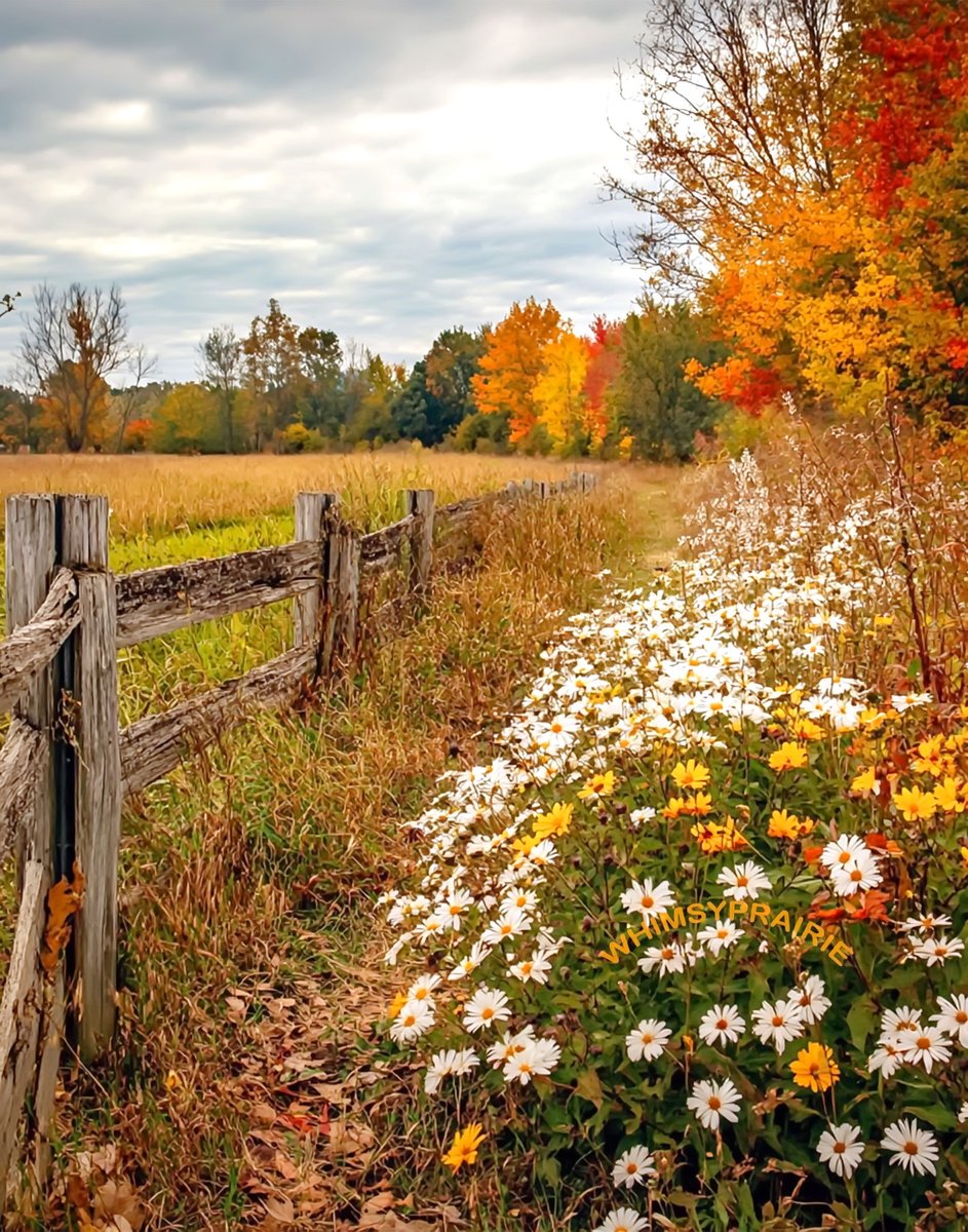 "Paths are made by

walking."

Franz Kafka