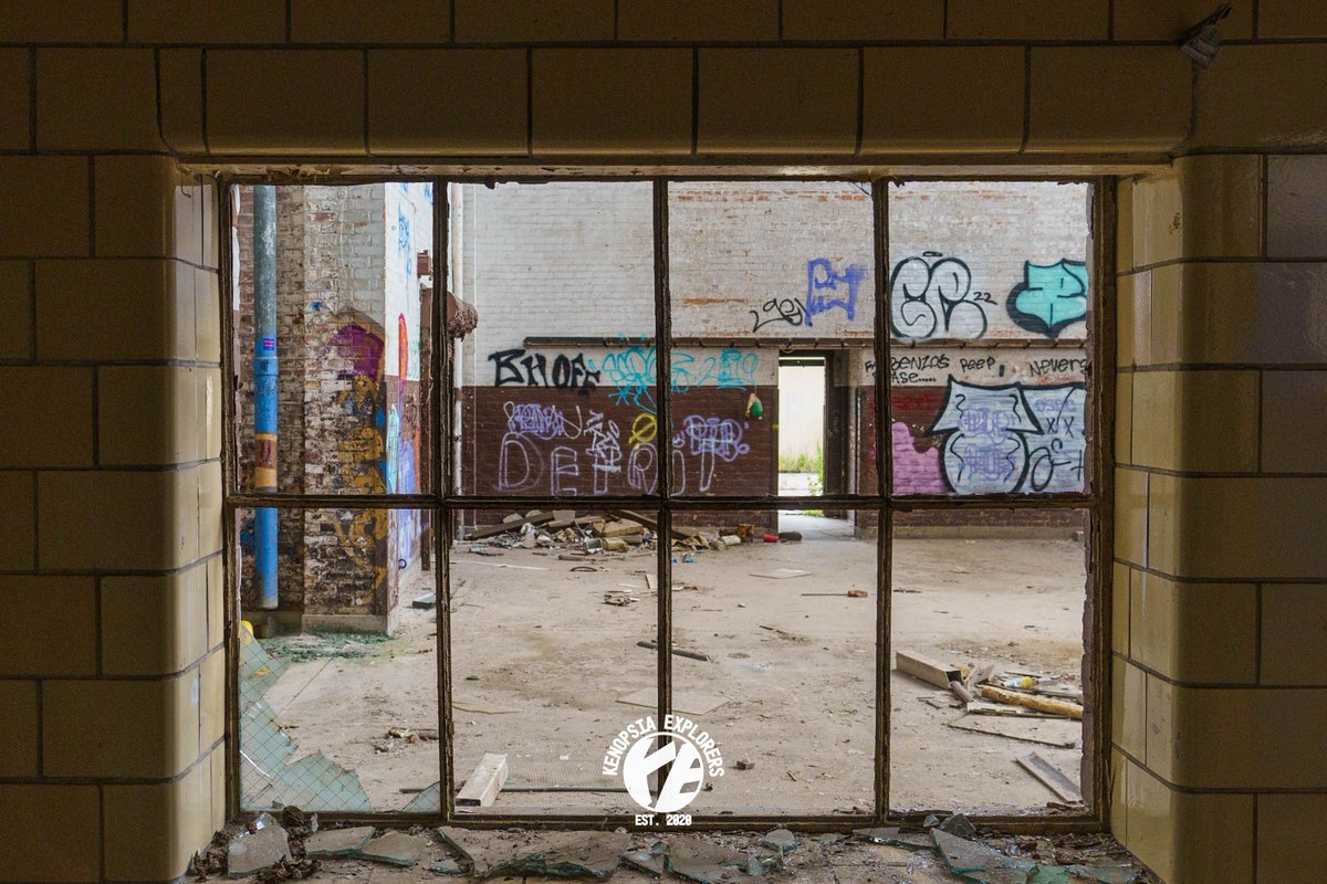 Kenopsia Explorers tweet media