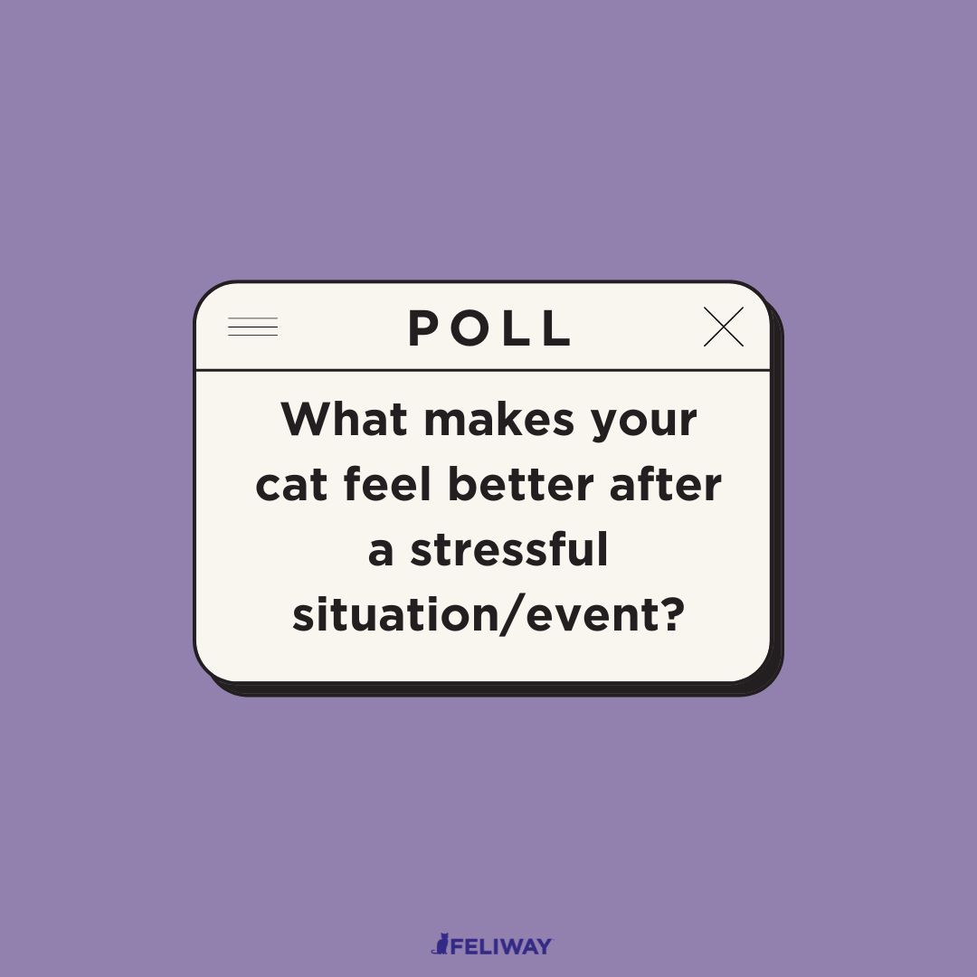 FeliwayUS's tweet photo. We want to know! Give us some great answers in the comments 🗣️ https://t.co/g2jGjkPkOq