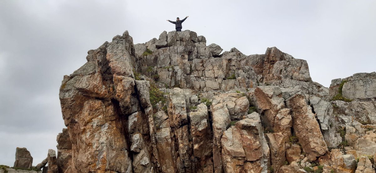 Olivier Roth tweet media