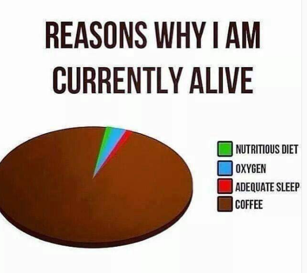 smc429's tweet photo. True!😅 https://t.co/DJWcvxSEP8