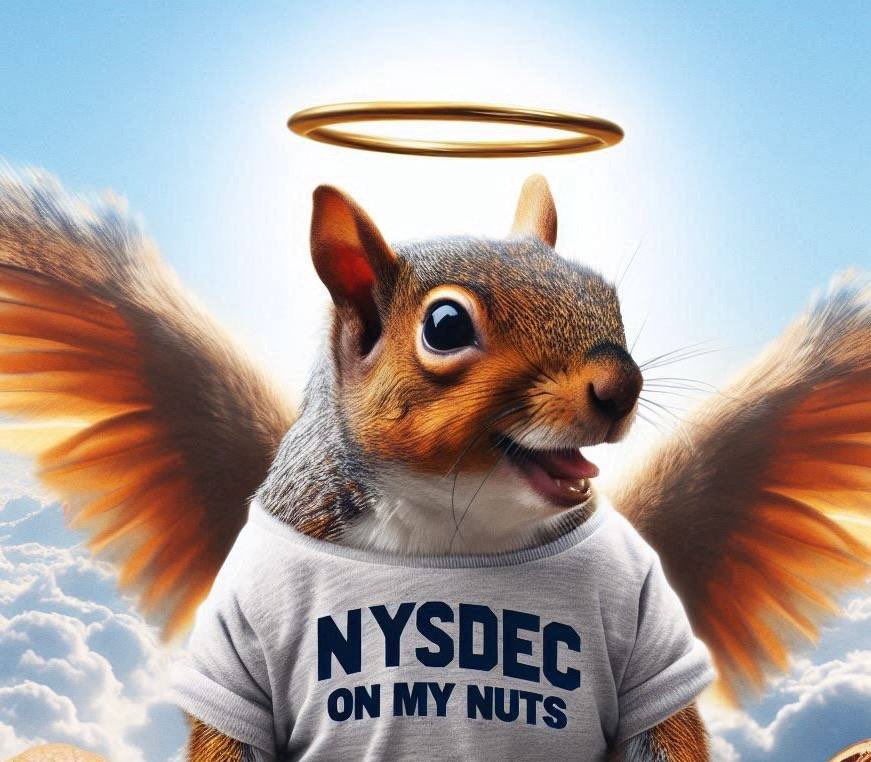 pnutsolana's tweet photo. Thanks to @CoinMarketCap, @MEXC_Official, @LBank_Exchange, @coinexcom, @KCEX_Official, @HIBTGlobal, @superex, @BitrueOfficial and @XTexchange for listing us over night and helping to hold up P'Nuts legacy 🫶 https://t.co/hisbCCtKNK